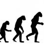 Darwin: theory of evolution, background, interesting facts
