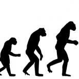 Darwin: evolutsiooniteooria, taust, huvitavad faktid
