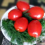 Рецепти за леко осолени домати: бързо готвене в тенджера