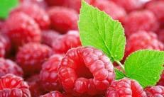 Jam for pancreatitis: the whole truth about the “sweet” treatment What is the harm of jam for acute inflammation of the pancreas